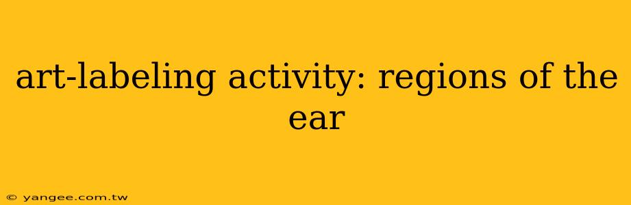 art-labeling activity: regions of the ear