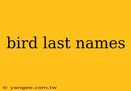 bird last names