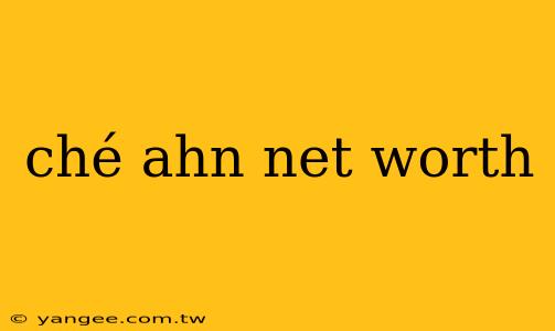 ché ahn net worth