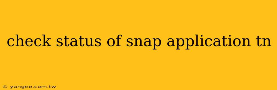 check status of snap application tn