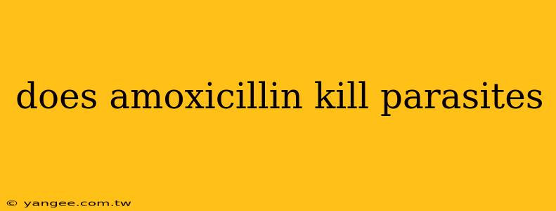 does amoxicillin kill parasites