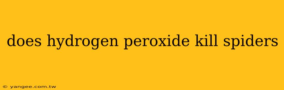 does hydrogen peroxide kill spiders