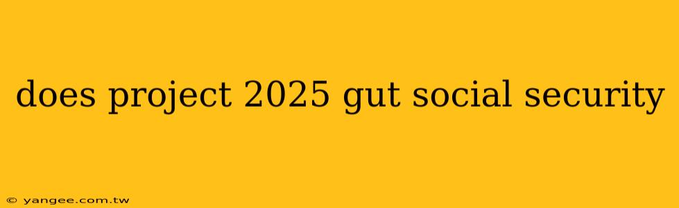 does project 2025 gut social security