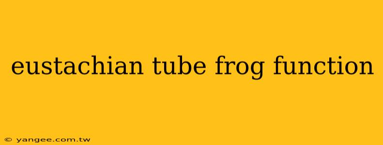 eustachian tube frog function