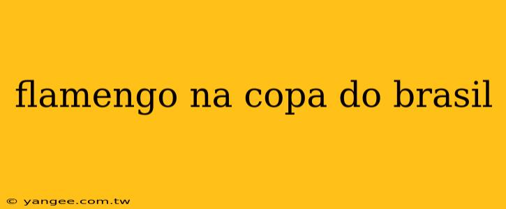 flamengo na copa do brasil