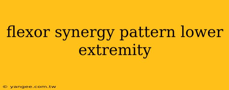 flexor synergy pattern lower extremity