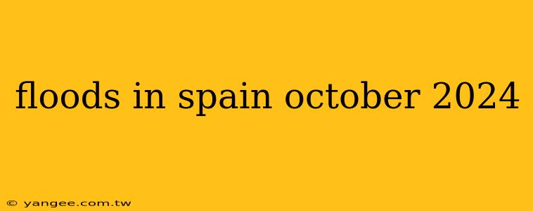 floods in spain october 2024