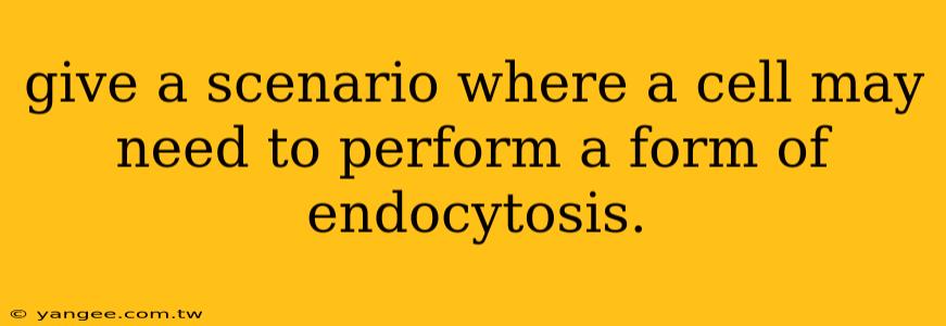 give a scenario where a cell may need to perform a form of endocytosis.