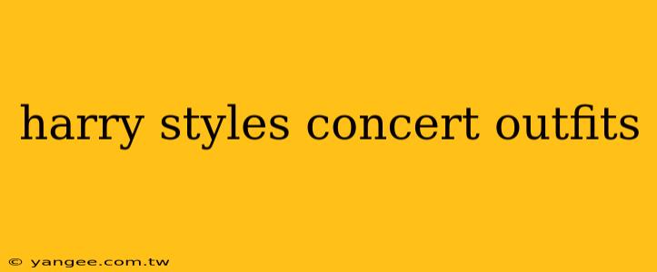 harry styles concert outfits