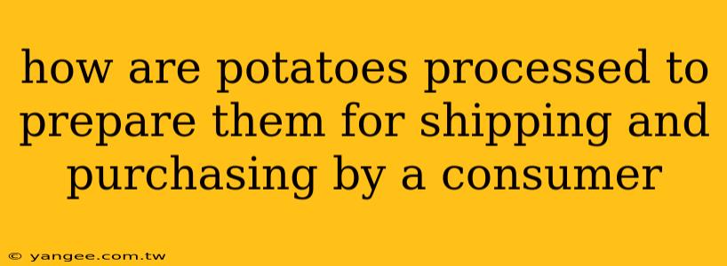 how are potatoes processed to prepare them for shipping and purchasing by a consumer