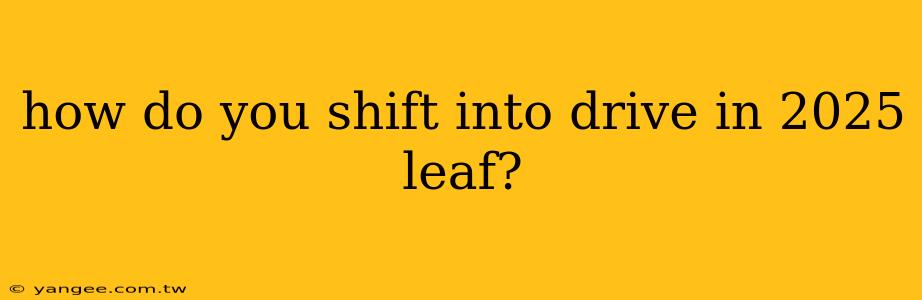 how do you shift into drive in 2025 leaf?