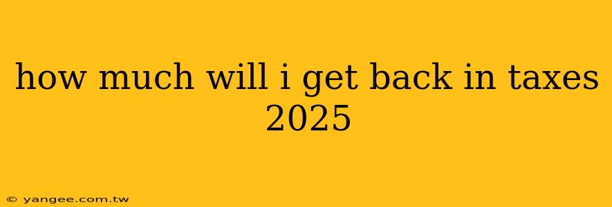 how much will i get back in taxes 2025