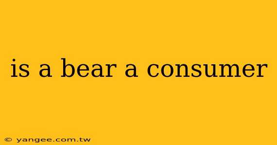 is a bear a consumer