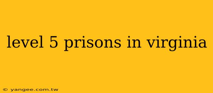 level 5 prisons in virginia