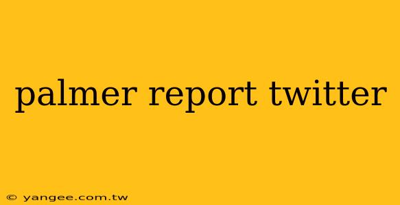 palmer report twitter