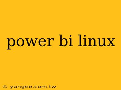 power bi linux