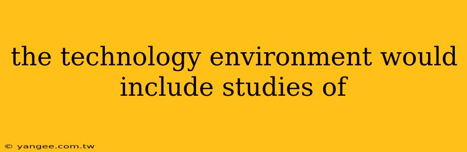 the technology environment would include studies of