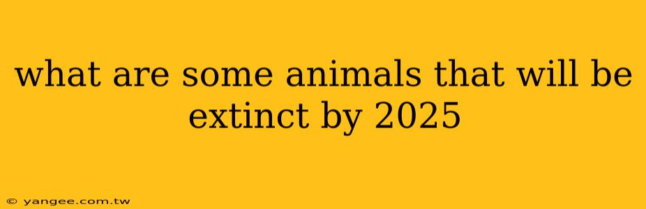 what are some animals that will be extinct by 2025