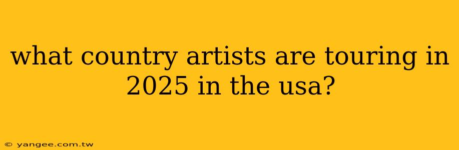 what country artists are touring in 2025 in the usa?