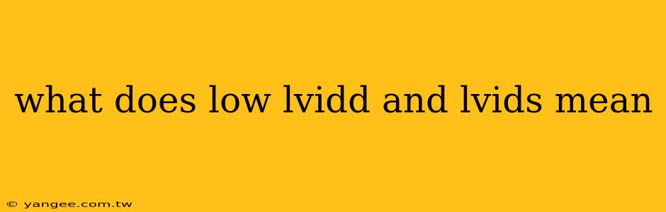 what does low lvidd and lvids mean