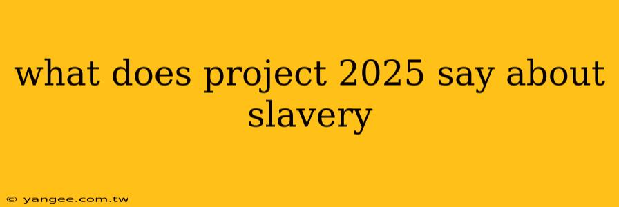 what does project 2025 say about slavery