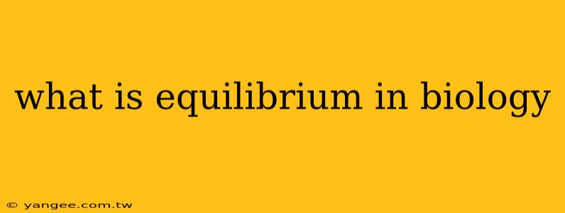 what is equilibrium in biology