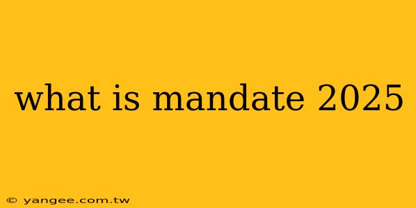 what is mandate 2025