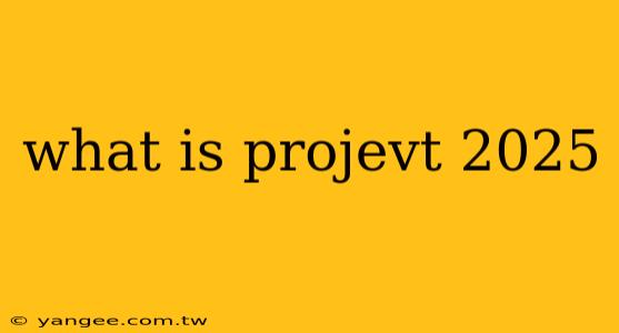 what is projevt 2025