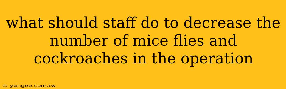 what should staff do to decrease the number of mice flies and cockroaches in the operation