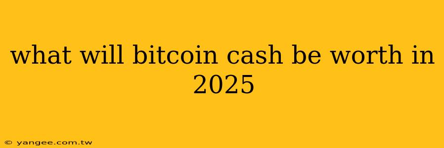 what will bitcoin cash be worth in 2025