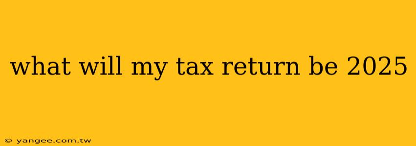 what will my tax return be 2025