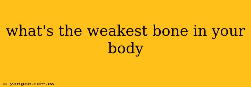 what's the weakest bone in your body