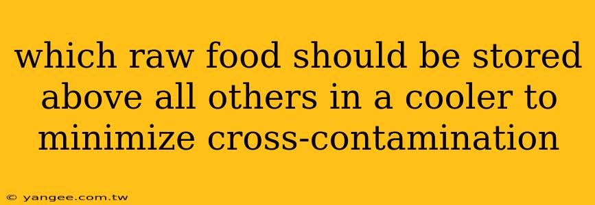 which raw food should be stored above all others in a cooler to minimize cross-contamination