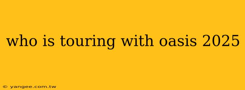 who is touring with oasis 2025