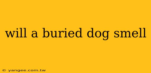 will a buried dog smell