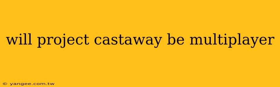 will project castaway be multiplayer